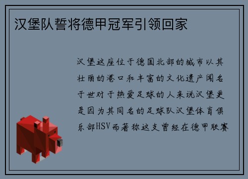 汉堡队誓将德甲冠军引领回家