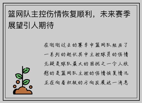 篮网队主控伤情恢复顺利，未来赛季展望引人期待